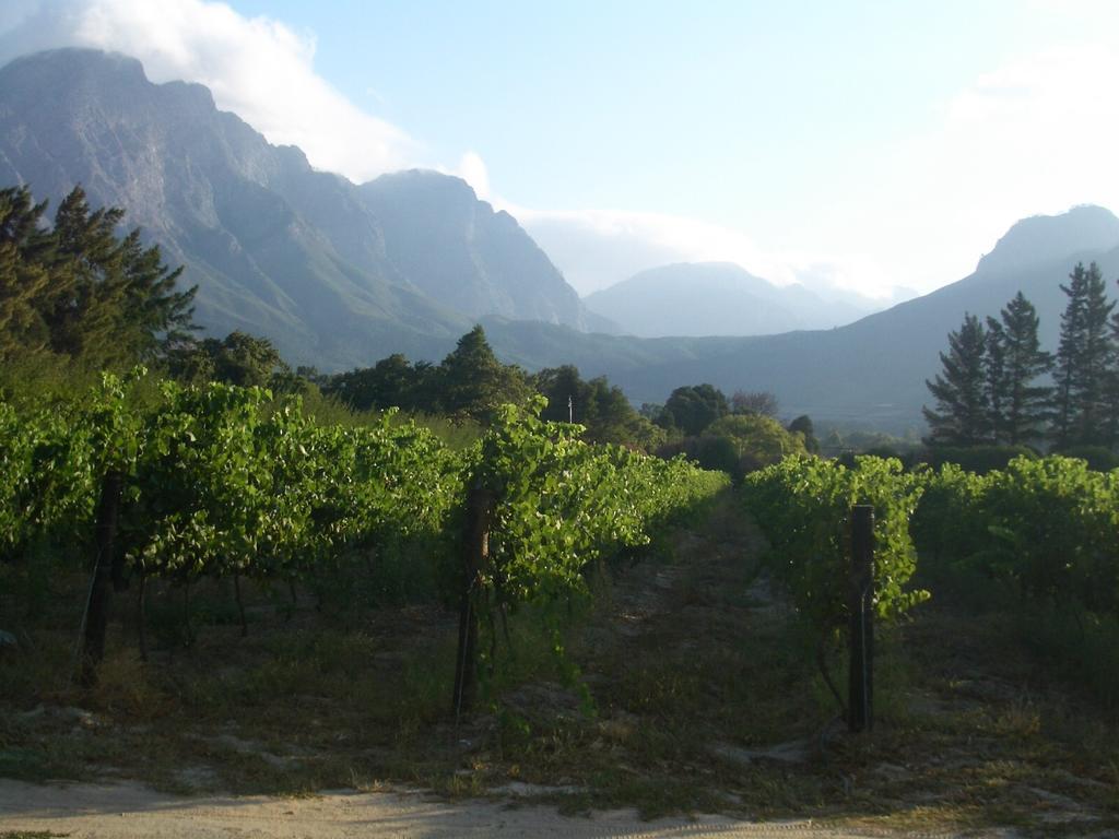 La Verdure Fruit Farm Franschhoek Zimmer foto